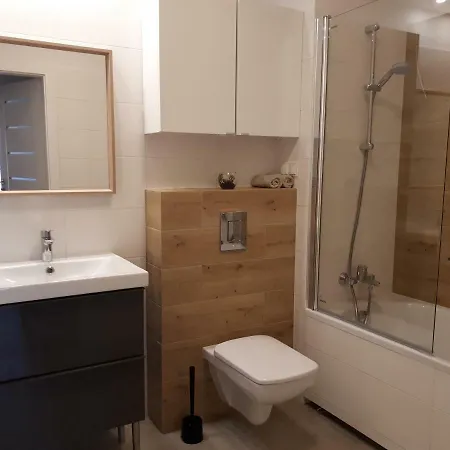 아파트 Przestronny Apartament W Centrum Poznania